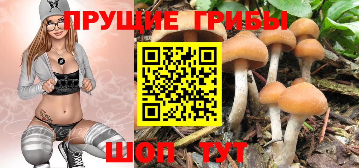 купить наркоту  Галлюциногенные грибы Cubensis  Вход с VPN  Омск 
